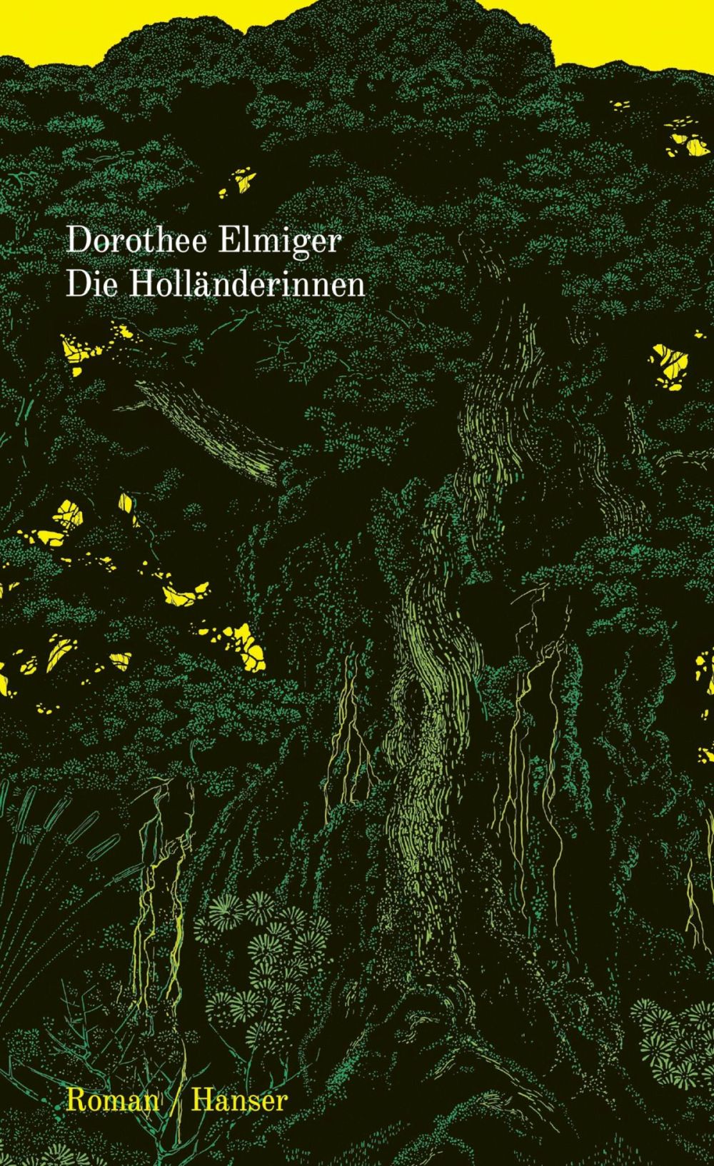 Cover: <i>Die Hollländerin</i> (Dorothee Elmiger)